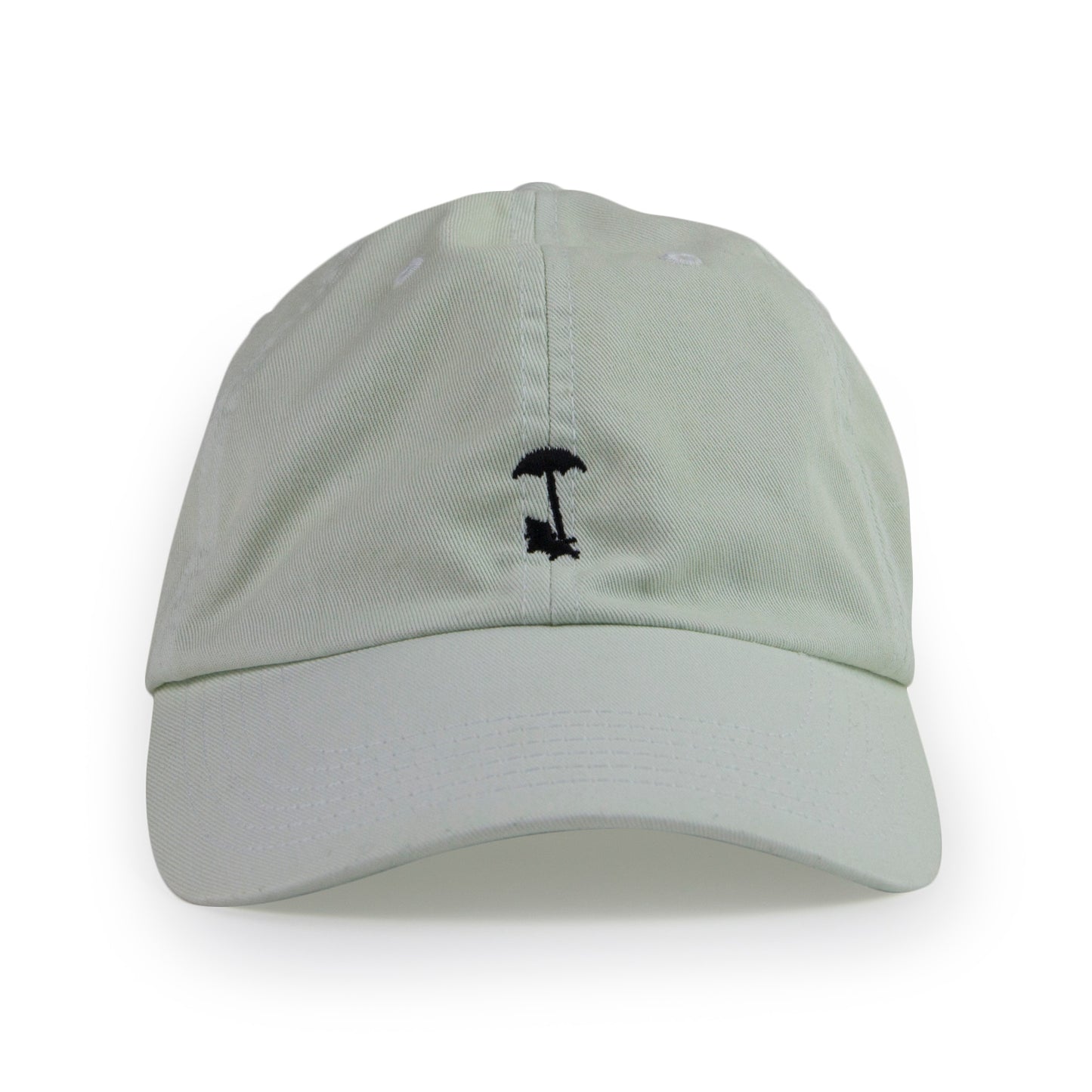 CORE DAD HAT IN PALE MOSS