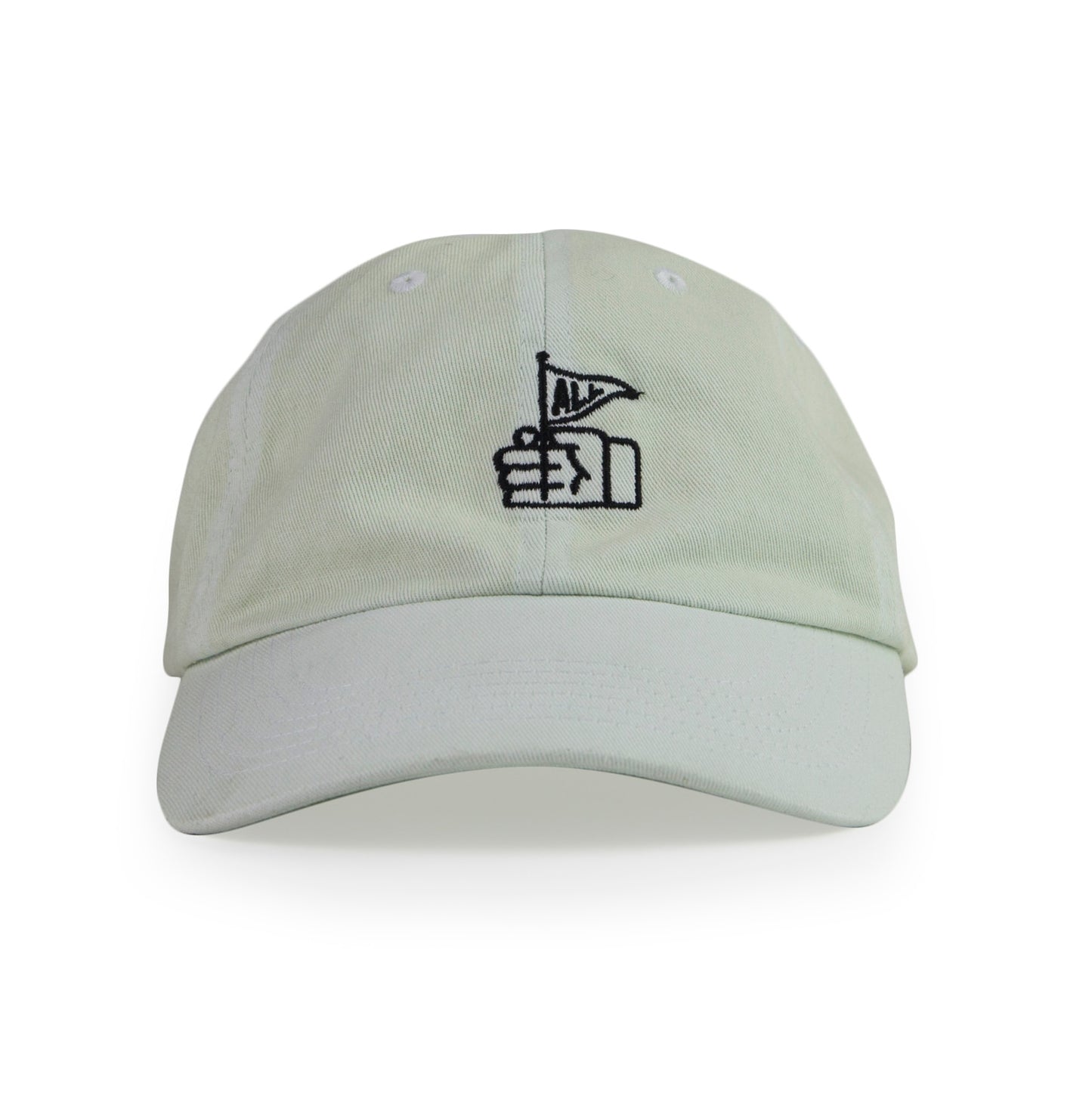 FLAGGY  DAD HAT IN PALE MOSS