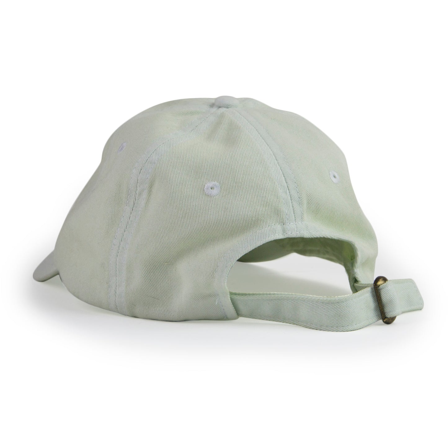 FLAGGY  DAD HAT IN PALE MOSS